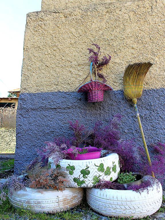 فندق La Mia Casa Di Campagna Rovieto المظهر الخارجي الصورة