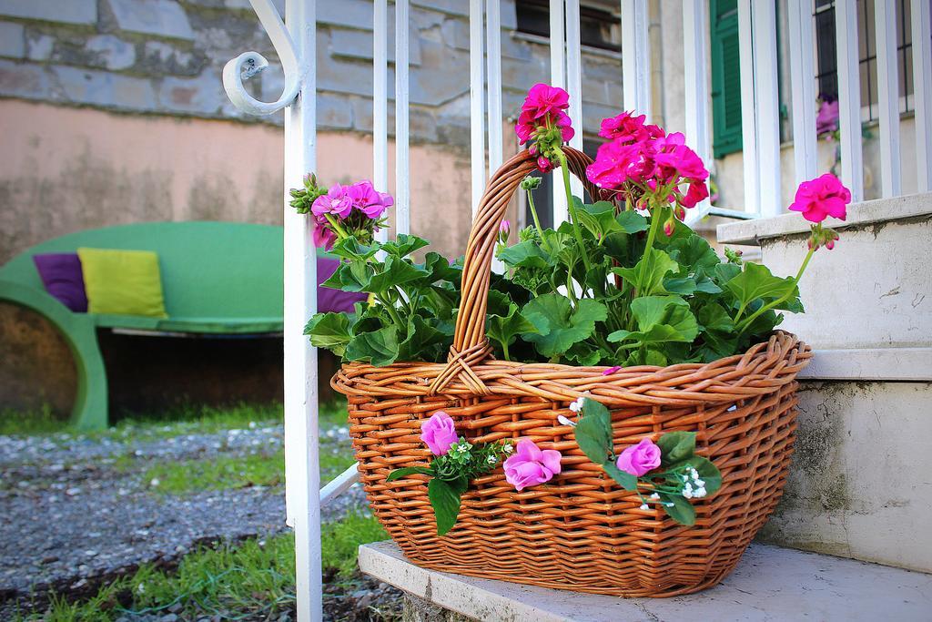 فندق La Mia Casa Di Campagna Rovieto المظهر الخارجي الصورة